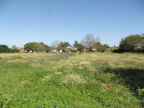 Maison de campagne à la ville ? le charme de la tranquillité à proximité de tout !