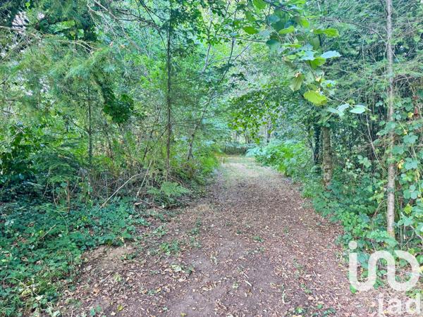 Maison à vendre 6 pièces 145 m² Saint-Martin-Terressus