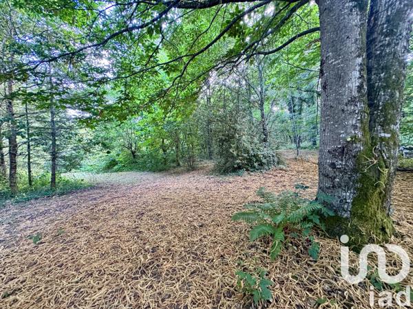 Maison à vendre 6 pièces 145 m² Saint-Martin-Terressus