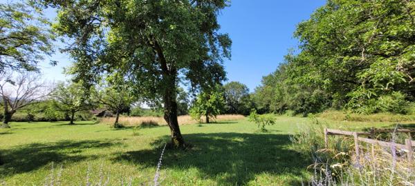 Sarliac-sur-l'Isle (24420) Viager occupé
