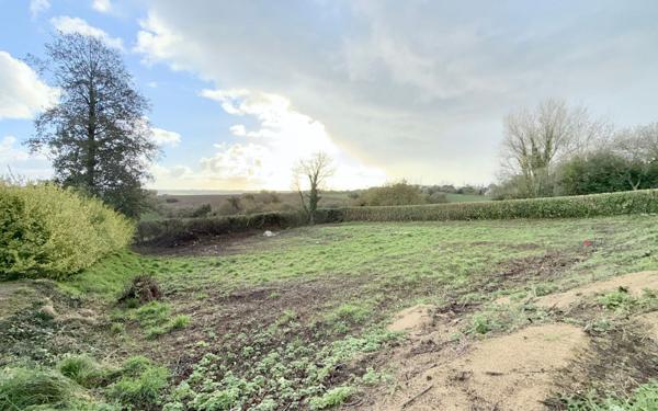 Terrain à vendre    Plouider