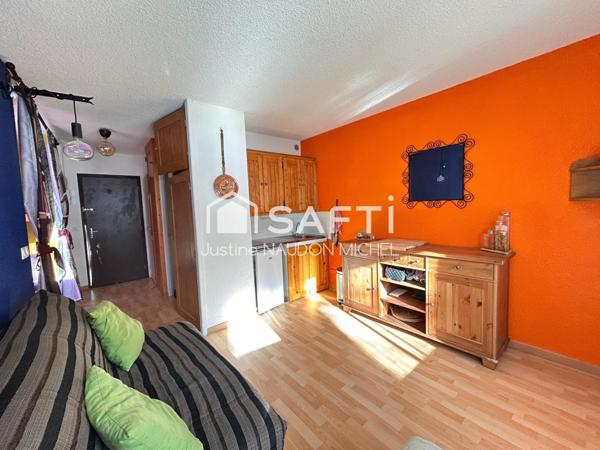 Appartement aux pieds des pistes