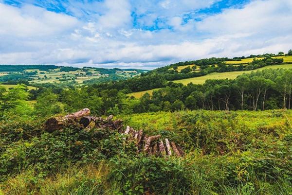 Maison à vendre 6 pièces GUIPY (58) - 115 m 2 - dépendances - terrain 697 m2