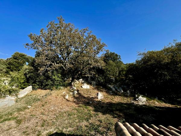 Vente / Maison avec dépendance