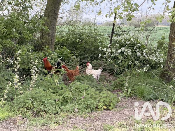 Maison à vendre 6 pièces 148,2 m² Bourbourg