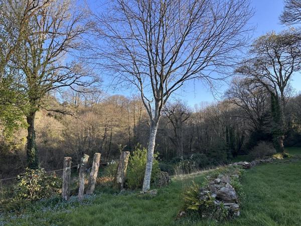 Maison à vendre à Saint-Nolff dans le Morbihan (56250), ref : 56003-1335