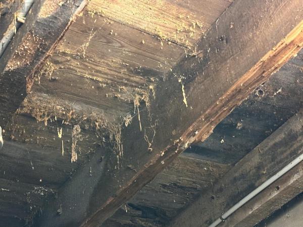 Maison à vendre à Saint-Nolff dans le Morbihan (56250), ref : 56003-1335