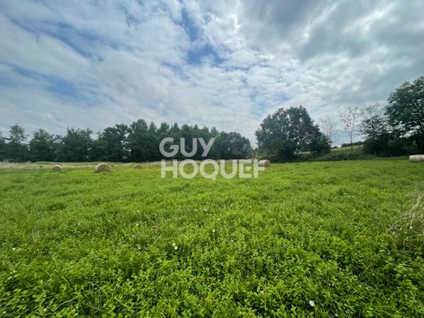 Maison familiale sur Pomarez