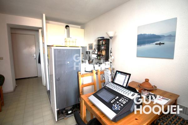 Appartement - Studio Cabine - Vue Canigou -