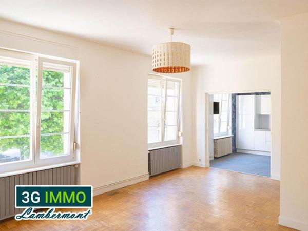 Vente / Appartement à Longwy (54400)