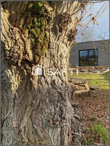 Chaleureuse maison familiale T6 sur terrain clos.