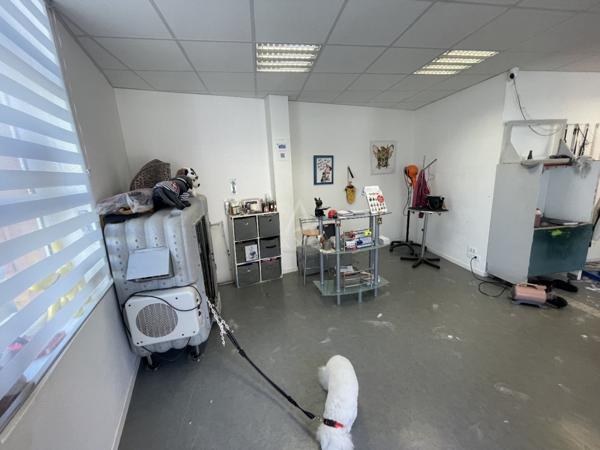Fond de Commerce Toilettage canin de 70m² environs et de 3 pièces