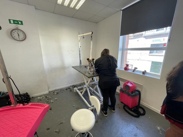 Fond de Commerce Toilettage canin de 70m² environs et de 3 pièces
