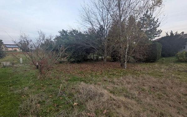 Terrain à vendre    Comberouger