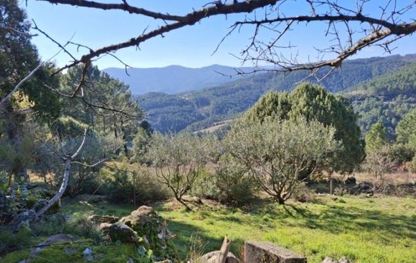 Vente Maison Les vans   