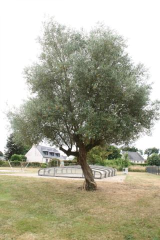 Vente Maison 8 pièces 219 m2 à Josselin