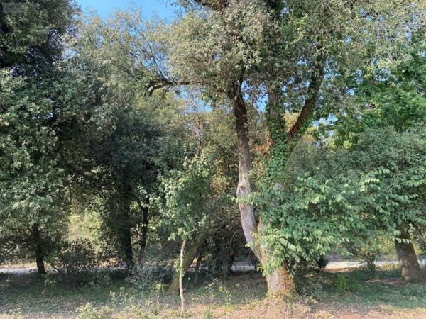 Maison individuelle à vendre à La Barre-de-Monts en Vendée (85550), ref : 092/M/2511-85092