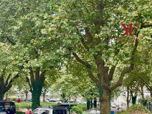 Brest (29200) CENTRE VILLE, BREST APPARTEMENT T1, 2 PIÈCES – PENFELD - SIAM