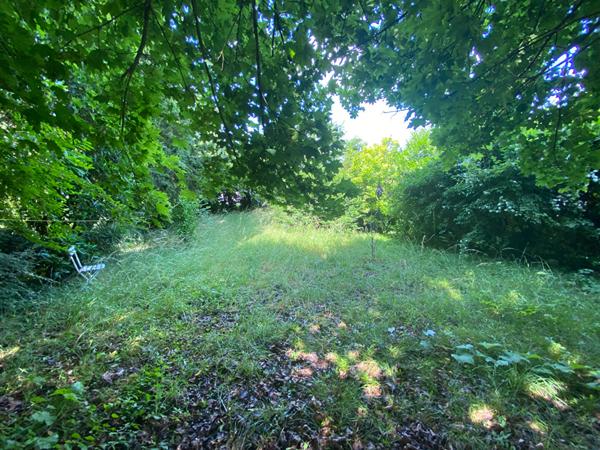 Maison Saint Cyr Sur Loire