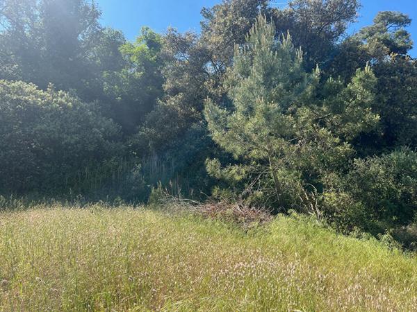 Terrain Longeville Sur Mer 375 m2