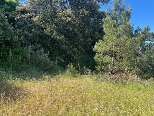 Terrain Longeville Sur Mer 375 m2