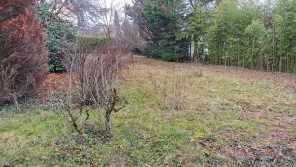 Terrain viabilisé libre constructeur