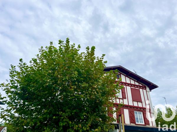 Immeuble à vendre 485 m² Saint-Pée-sur-Nivelle