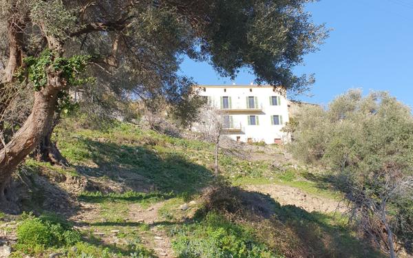 Maison à vendre    8 pièces • 203 m2 Santo-Pietro-di-Tenda