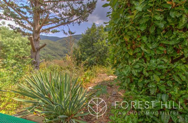 Arles-sur-Tech (66150) Villa 4 faces plain pied