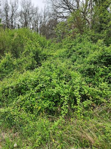 TERRAIN A VENDRE LAUNAGUET