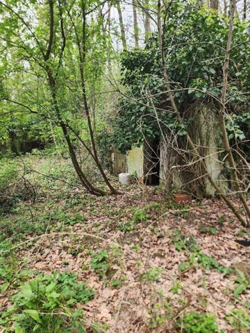 TERRAIN A VENDRE LAUNAGUET