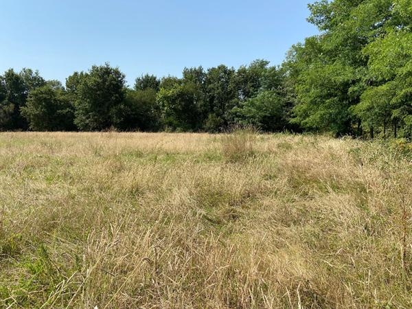 Terrain proche Pontonx Sur L Adour 7681 m2