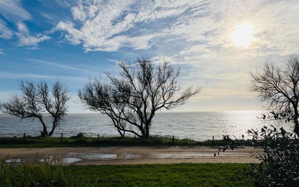 Appartement à louer    2 pièces • 67,75 m2 La Rochelle