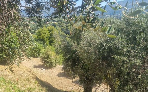 Terrain à vendre    Colomars