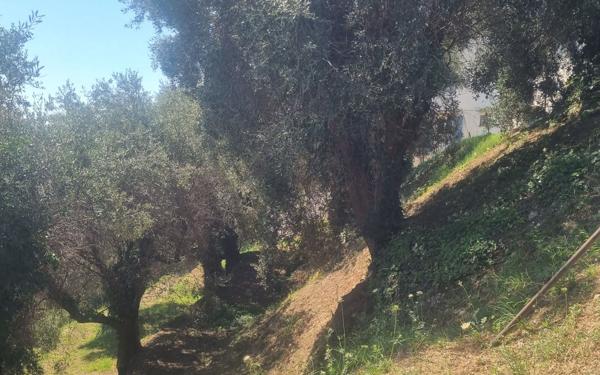 Terrain à vendre    Colomars