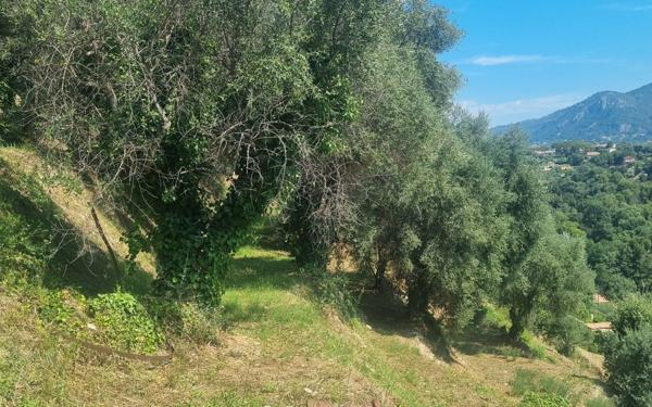 Terrain à vendre    Colomars