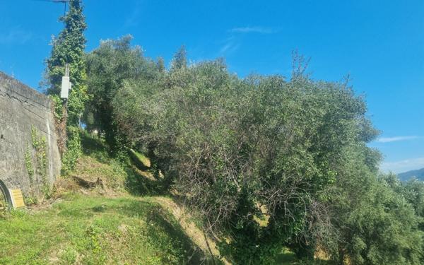 Terrain à vendre    Colomars