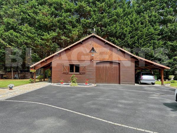 Amoureux de la trabquilité 