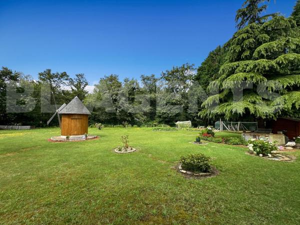 Amoureux de la trabquilité 