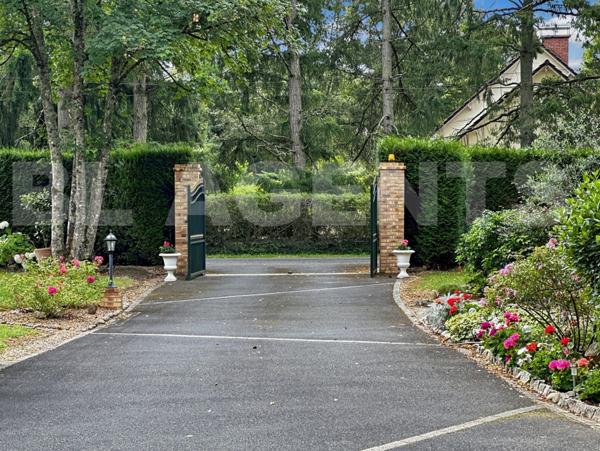 Amoureux de la trabquilité 