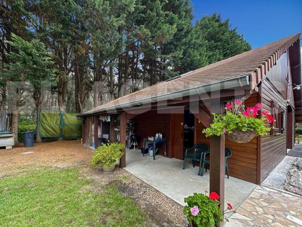 Amoureux de la trabquilité 