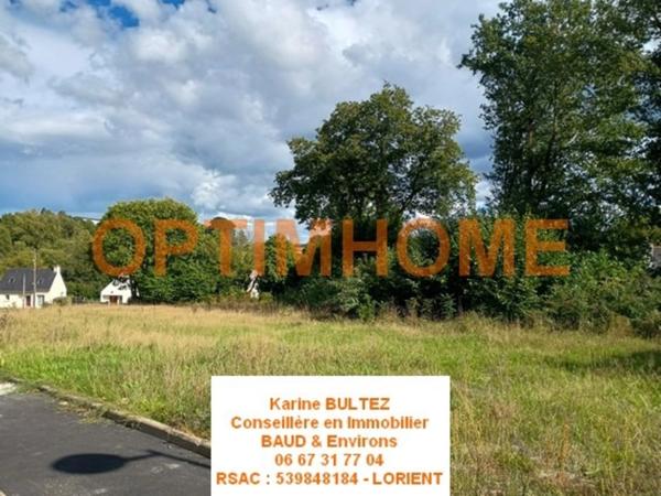 Terrain à vendre de 529,00 m² BAUD (56)