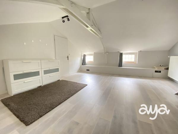 Maison de caractère sur terrain de près d’1 hectare – Beaux volumes, dépendances, verger