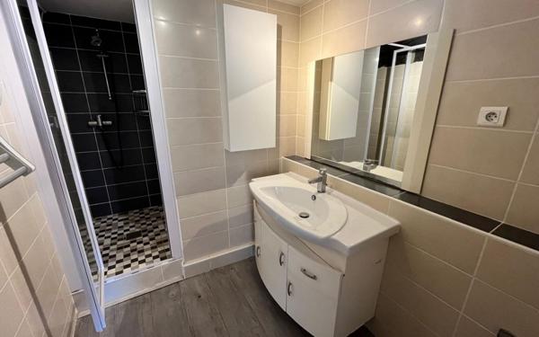 Appartement à louer    4 pièces • 95 m2 Saint-Maurice-sur-Dargoire