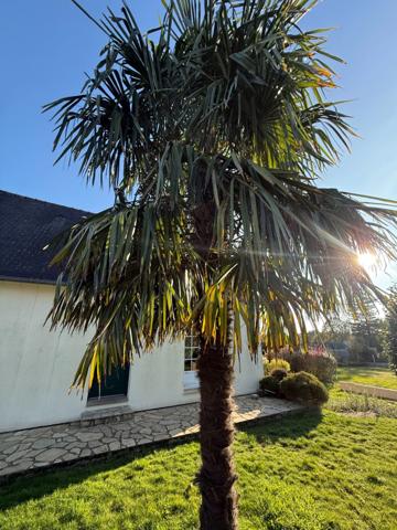 Maison à vendre 5 pièces LE CROISTY (56) - Sous-Sol Total - véranda - balcon - 1800 m² terrain divisible.