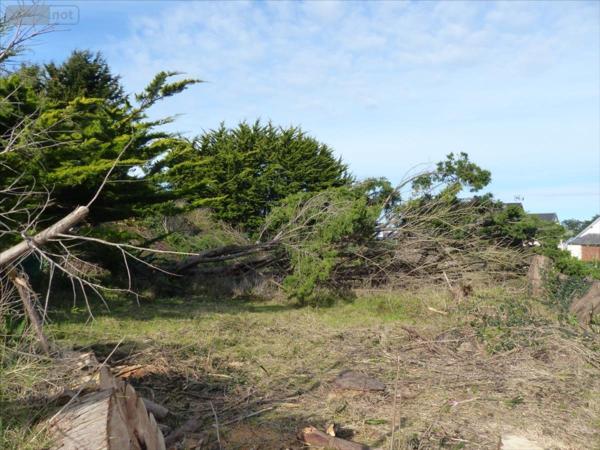 Chalet à vendre à Port-Bail-sur-Mer dans la Manche (50580), ref : 50061-1092513