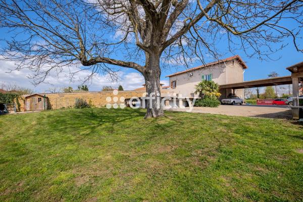 Maison 6 pièces - 196 m²