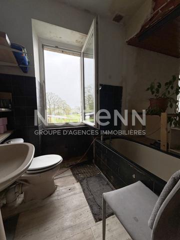 Maison en pierre à vendre à LOCMINE à rénover de 44 m² avec un jardin.