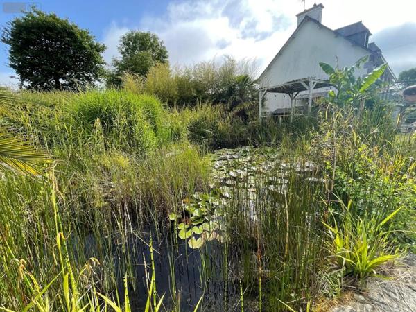 Achat - Maison Lanvollon 22290 3 pièces 146 m 2 1226 m 2