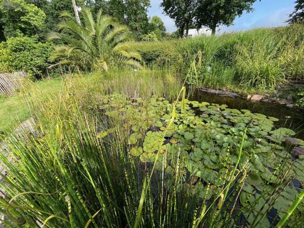 Achat - Maison Lanvollon 22290 3 pièces 146 m 2 1226 m 2